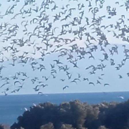 Bella-Caza Διαμέρισμα Μάκρη Εξωτερικό φωτογραφία