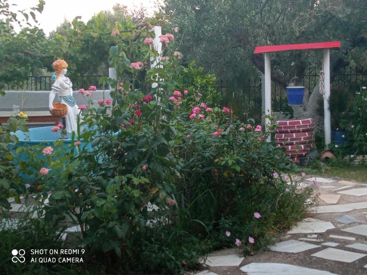 Bella-Caza Διαμέρισμα Μάκρη Εξωτερικό φωτογραφία