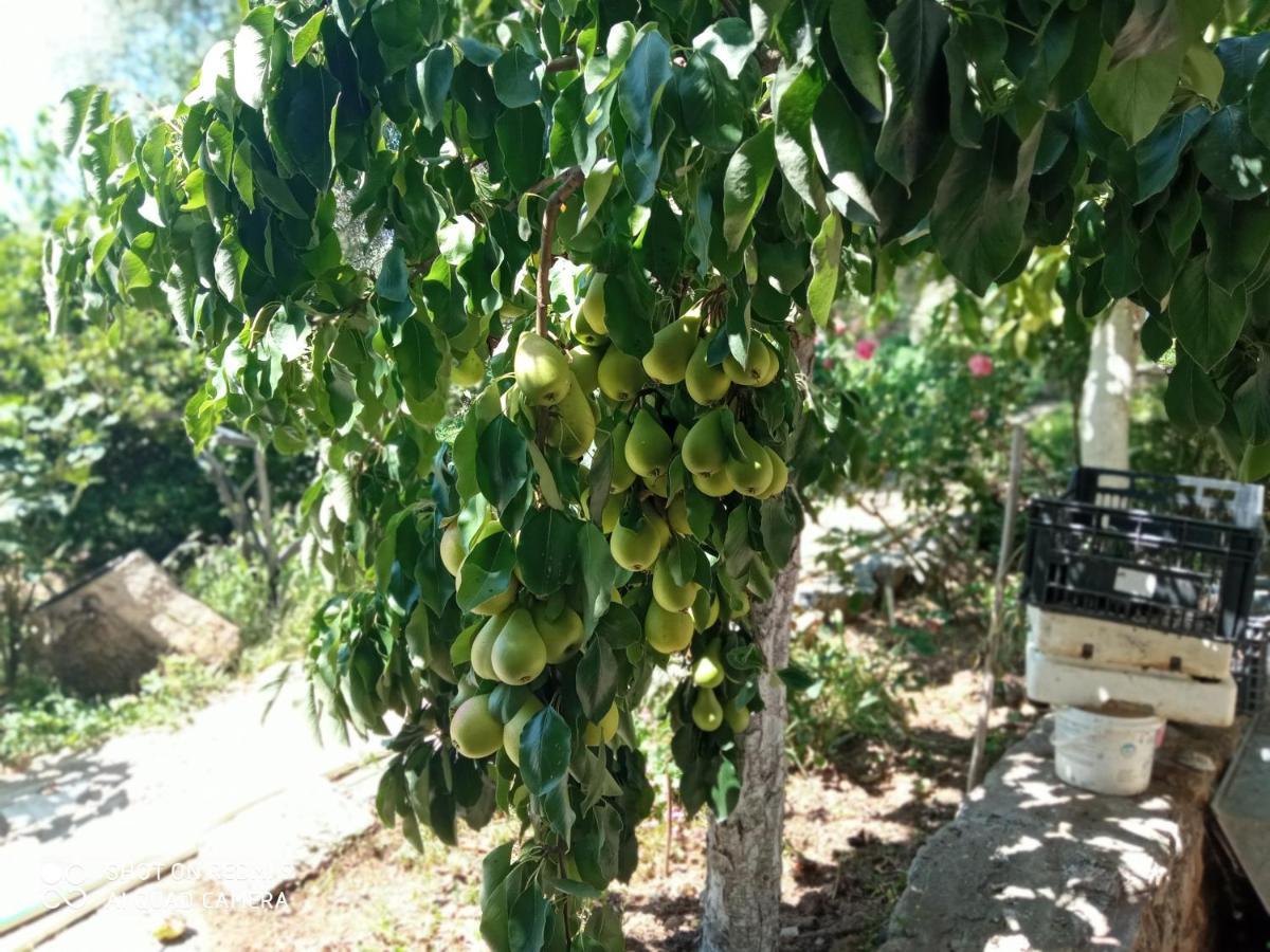 Bella-Caza Διαμέρισμα Μάκρη Εξωτερικό φωτογραφία