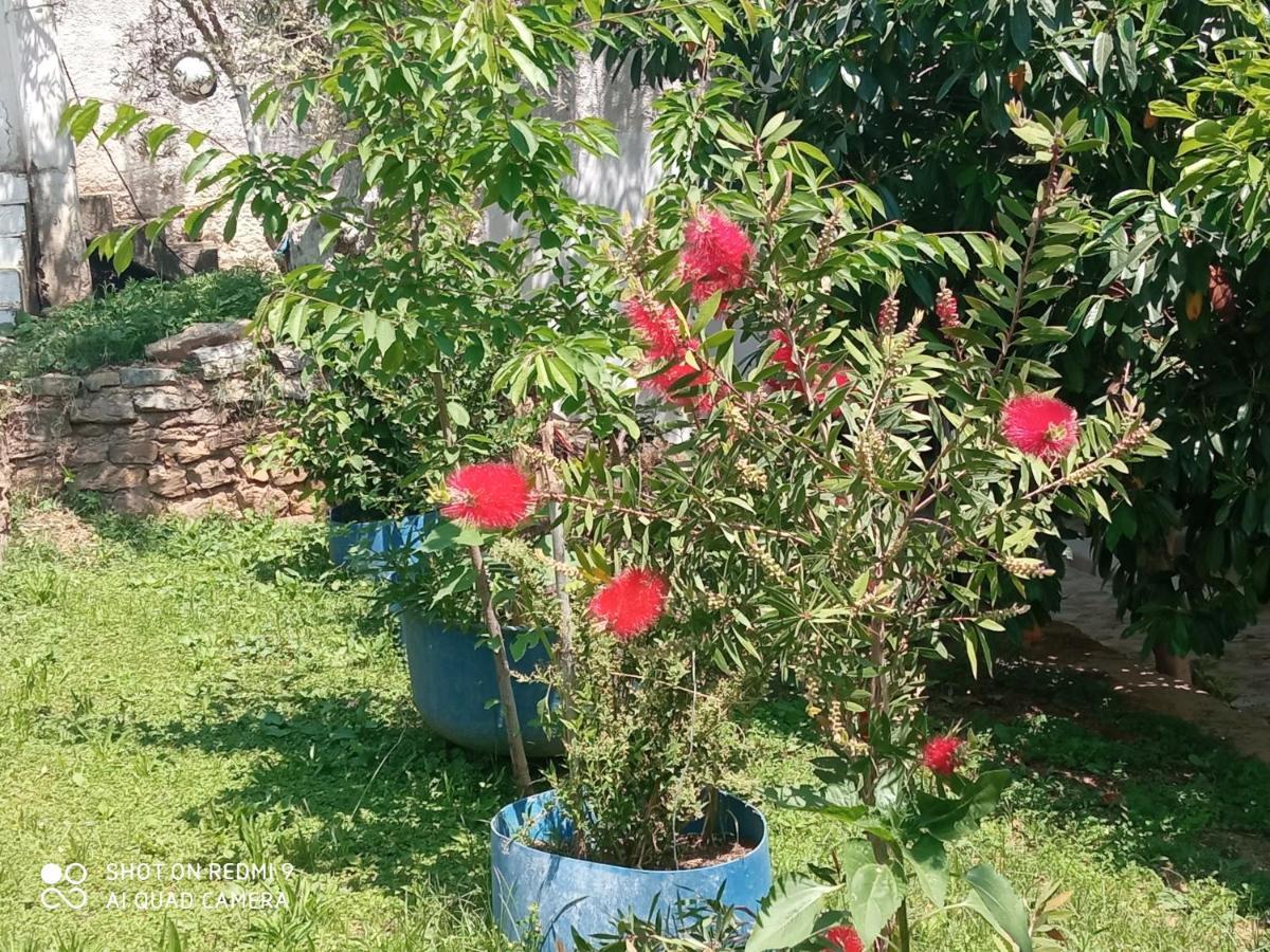 Bella-Caza Διαμέρισμα Μάκρη Εξωτερικό φωτογραφία